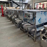 Meilleur prix : Petite machine à éplucher les oignons et l'ail, ligne de production de traitement de l'ail, machine à décortiquer les bulbes d'ail