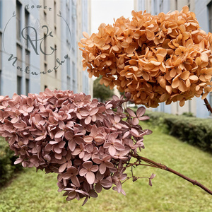 Hydrangea Arborescens stabilisé en gros 2025 – Bouquets personnalisables, couleur au choix, toute l'année, Saint-Valentin, longue durée, haute qualité - Product Image 6