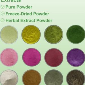 Cápsulas de Extracto de Raíz de Regaliz, Suplemento Herbal OEM para la Salud Respiratoria, Suplemento Alimenticio de Marca Privada - Product Image 6