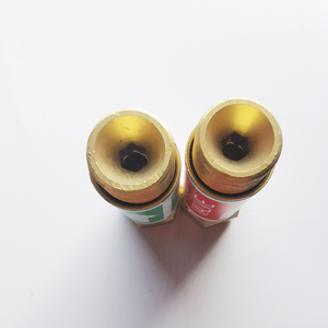 Kaliteli <span class=keywords><strong>288</strong></span> tipi <span class=keywords><strong>Flashback</strong></span> <span class=keywords><strong>Arrestor</strong></span> için regülatörü - Product Image 4