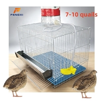 Cage à Oiseaux Multi-Niveaux pour l'Élevage de Cailles, de Cailles-d'Inde et de Pigeons