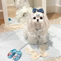 Nouvelle Conception OEM Jupe de Princesse pour Animaux de Compagnie en Polyester Brodé Confortable et Élégant Robe de Mariage Toutes Saisons Vêtements pour Animaux