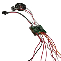 Circuit imprimé PCBA de cactus jouet chantant et dansant de la marque Dina, fabricant et fournisseur de fonctions personnalisables OEM/ODM