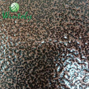 Poudre <span class=keywords><strong>de</strong></span> revêtement en cuivre <span class=keywords><strong>pour</strong></span> porte en acier, 30 ml, Texture <span class=keywords><strong>de</strong></span> marteau brut - Product Image 2