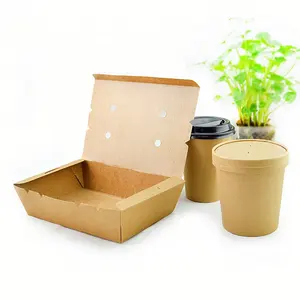Toptan tek kullanımlık take away gıda kutuları kraft karton kağıt gıda ambalaj kutusu