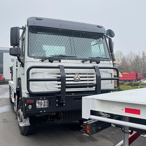 Camions porte-conteneurs à plateau plat <span class=keywords><strong>Sinotruk</strong></span> <span class=keywords><strong>8X4</strong></span> à bas prix, 12 pneus, châssis long de 8000 mm - Product Image 2