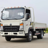 SINOTRUCK HOWO 4x2 Euro 3 Camionnette Utilitaire Diesel d'Occasion Châssis 4L 4T-5T Transport Léger Logistique Livraison