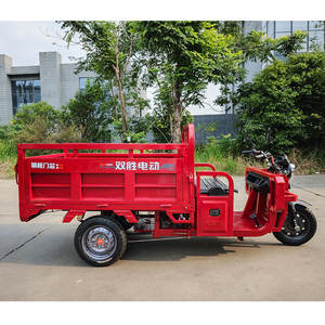 <span class=keywords><strong>Triciclo</strong></span> Eléctrico <span class=keywords><strong>de</strong></span> <span class=keywords><strong>Carga</strong></span> en Oferta, 1000w, Triciclos <span class=keywords><strong>de</strong></span> <span class=keywords><strong>Carga</strong></span> <span class=keywords><strong>de</strong></span> Servicio <span class=keywords><strong>Mediano</strong></span> a Pesado - Product Image 4