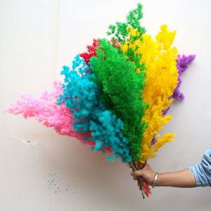 Feuille de Pougéa de Penglai de haute qualité, naturelle et préservée, pour la décoration intérieure et les arrangements floraux festifs - Product Image 5
