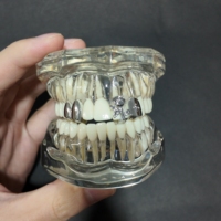 Grillz de Luxe Bling Dent Simple Vampire en Zircon Cubique Plaqués Or 14K Style Rapper Iced Out