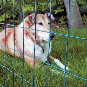 Recinzioni da giardino in plastica di alta qualità cane gatto protezione per animali domestici 280gsm rete da recinzione a rete quadrata estrusa cortile