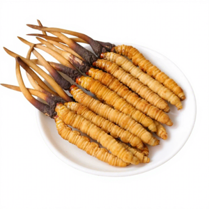 Kotak hadiah panen liar bubuk ekstrak Herbal tingkat makanan Cordyceps Tibet - Product Image 1