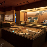 Vitrines de présentation pour musées, avec plateau pour exposition d'objets historiques, stockage et conservation du patrimoine, verre anti-reflet