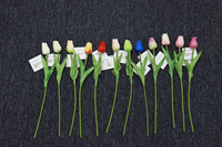 Fleur Artificielle Tulipe en Soie PU pour Décoration Extérieure, Hôtels, Jardins, Arches de Mariage et Plafonds