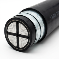 Câble de moyenne tension PrimePro YJLV22 8,7/15 kV |   Conducteur en aluminium compacté |   Bande d'acier double blindée (DSTA) |   Écran de protection en cuivre |
