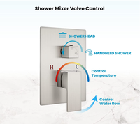 Ensemble de robinet de douche Pommeau de douche à effet pluie carré pour salle de bain avec douchette murale Nickel brossé