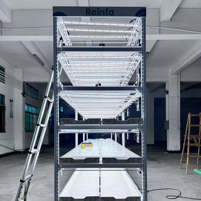 Reinfa MicroStack Vertical Grow System  Advanced Hydroponic Solution for Premium Indoor Microgreen Cultivation