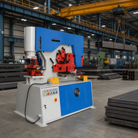 Machine à découper et à poinçonner le métal hydraulique Q35Y-16 - Prix compétitif, multifonctionnelle pour la construction