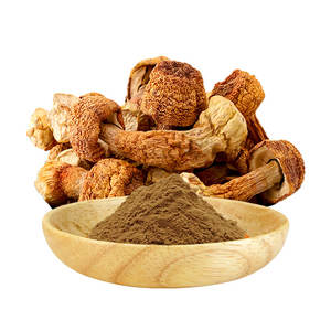 Амулин, натуральный пищевой травяной экстракт, высокое качество, <span class=keywords><strong>Agaricus</strong></span> Blazei Murill порошок в барабанной упаковке - Product Image 1