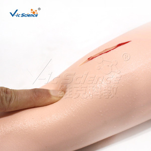 Modèle de bras pour suture chirurgicale avancée VIC439, modèle d'entraînement à la suture pour étudiants en médecine - Product Image 1