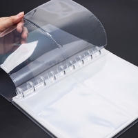 Effacer Discbound Album Feuille Protecteur Disques Reliure 20 Feuilles Page Intérieure En Plastique Manchons De Protection Organisateur