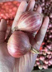 Rau tươi <span class=keywords><strong>3</strong></span>-5 <span class=keywords><strong>cm</strong></span> hành tây Đỏ Cỡ Nhỏ hẹ Vàng hành tây tươi giá tốt nhất - Product Image 3