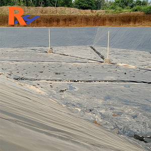 Geomembrana de HDPE de 1 mm/1,5 mm/2 mm de Doble Cara, Resistente al Deslizamiento, Antienvejecimiento, con Textura Ultravioleta, para Soporte y Protección de Minas - Product Image 5