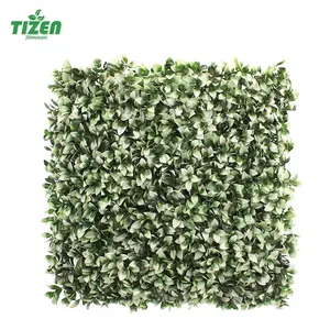 تويزن-نظام جديد مصنوع من خشب البقس الأخضر المعلق, يُباع بالجملة ، مصنوع من مادة البولي إيثيلين ، يُعلق على الجدران ، ويُباع بالجملة.