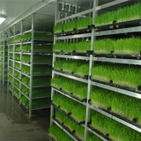 Systèmes Hydroponiques Professionnels de Production de Fourrage de 1000 kg/Jour, Conteneur de Germination et de Culture de Semences