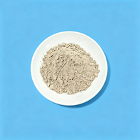Ciment d'aluminate de calcium CA50-A600, ciment réfractaire à haute résistance précoce pour fours et fours à combustion, fourniture en vrac, directement du fabricant