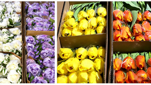 Fleurs de tulipes artificielles au toucher réel, tulipes en caoutchouc doux et vives pour la décoration de la maison - Product Image 6