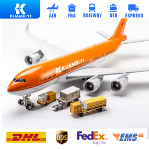 Global Express UPS DHL FedEx transitaire porte-à-porte agent d'expédition spécial mer air LCL DDP services d'intégration logistique - Product Image 3
