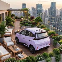 Nouveau mini véhicule électrique à quatre roues à faible vitesse, 4 portes, 5 places, ESUN 200-250 kW, batterie 60 V, autonomie 101-200 km, pour la famille