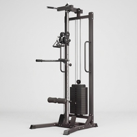 Machine de musculation robuste pour tirage vertical à câble, idéale pour l'entraînement du dos à domicile