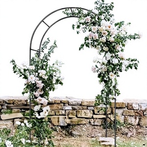 Arche de jardin moderne en métal, support extérieur pour rosiers et plantes grimpantes - Product Image 1