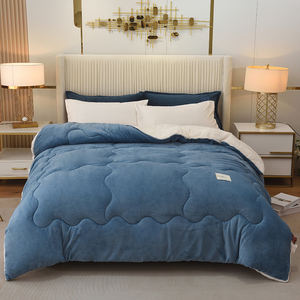 Vente <span class=keywords><strong>chaude</strong></span> Super chaud épais <span class=keywords><strong>couette</strong></span> velours lait polaire Sherpa couverture <span class=keywords><strong>couette</strong></span> pour la maison hiver utiliser - Product Image 2