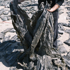 Üretici Toptan Fabrika Doğrudan Satış Kalın Etli Bütün Kelp Başlığı AD Laver Doğranmış 500g Toplu Halde Su İçinde Saklanmış - Product Image 2