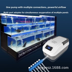 Pompe à air oxygénante portable rechargeable haute capacité pour le transport de fruits de mer vivants, la pêche en extérieur et les <span class=keywords><strong>aquariums</strong></span> - Product Image 3