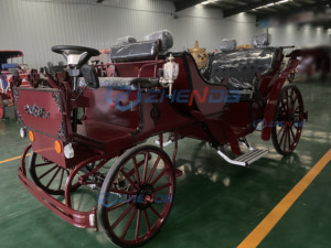 Nouveau modèle de calèche de loisirs élégante, calèche royale électrique, véhicule de tourisme vintage, calèche à chevaux en vente - Product Image 6