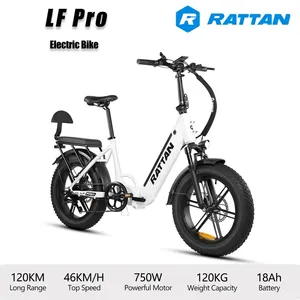 <span class=keywords><strong>Bicicleta</strong></span> Eléctrica Urbana de Ocio <span class=keywords><strong>RATTAN</strong></span> LF Pro con Envío en la UE, Motor sin Escobillas de 750W, 46km/h, 120km, 18AH, Frenos Hidráulicos - Product Image 4