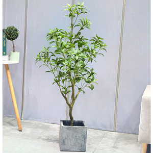 Plante Artificielle en Plastique en Gros, Arbre <span class=keywords><strong>Pieris</strong></span> Vif et Presque Naturel, Durable, Résistant aux UV, Écologique, pour Décoration de Jardin et de Mariage - Product Image 4