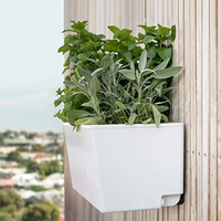 Lit de jardin surélevé auto-arrosage, trous de Drainage du système pour la croissance intérieure et extérieure des légumes, des fruits, des fleurs et des herbes boîte/