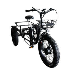 ANLOCHI Giá Tốt 48V 500 Wát 24Inch Cao Mạnh Mẽ Fat Tire Electric <span class=keywords><strong>Drift</strong></span> <span class=keywords><strong>Trike</strong></span> Cho Dài Rang Cargo - Product Image 1