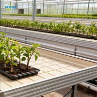 Système hydroponique de culture par inondation et drainage, banc en acier galvanisé avec pompe pour serre, utilisation en système d'irrigation par flux et reflux