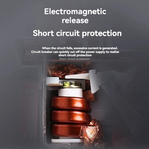 Протектор утечки 1P 2P 3P 4P Автоматический выключатель 1A 2A 3A 4A 6A 16A 20A 25A 32A 40A 63A 80A 100A 125A MCB полностью открытый микроэлектрический - Product Image 4