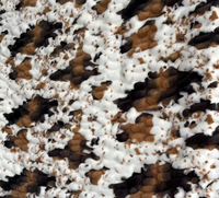 Rustikale Doppellagige Luxuriöse Plüsch-Warme Flauschige Weiche Reh- und Kuh-Imitat-Kaninchenfell-Minky-Winterdecke, Andere Nerzdecken für Erwachsene