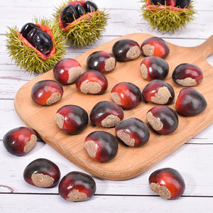 ถั่วเกาลัดจำลองถั่วผลไม้<span class=keywords><strong>ปลอม</strong></span>สำหรับการศึกษาปฐมวัยสำหรับ<span class=keywords><strong>ต</strong></span>กแ<span class=keywords><strong>ต</strong></span>่งคริส<span class=keywords><strong>ต</strong></span>์มาส - Product Image 3