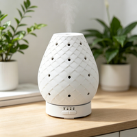 Diffuseur d'huiles essentielles en céramique OEM 100 ml, humidificateur ultrasonique avec lumière LED, alimentation USB, usage domestique, garantie 1 an