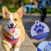 RFID NFC N213/215/216 Chip Einzigartiger Code findet Pet Tag Anti-Lost Pet Epoxy Tag für Hunde oder Katzen