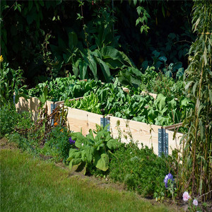Cama rectangular de madera para plantas, jardín plegable, 120x80x20 cm, <span class=keywords><strong>natural</strong></span>, de pino - Product Image 3